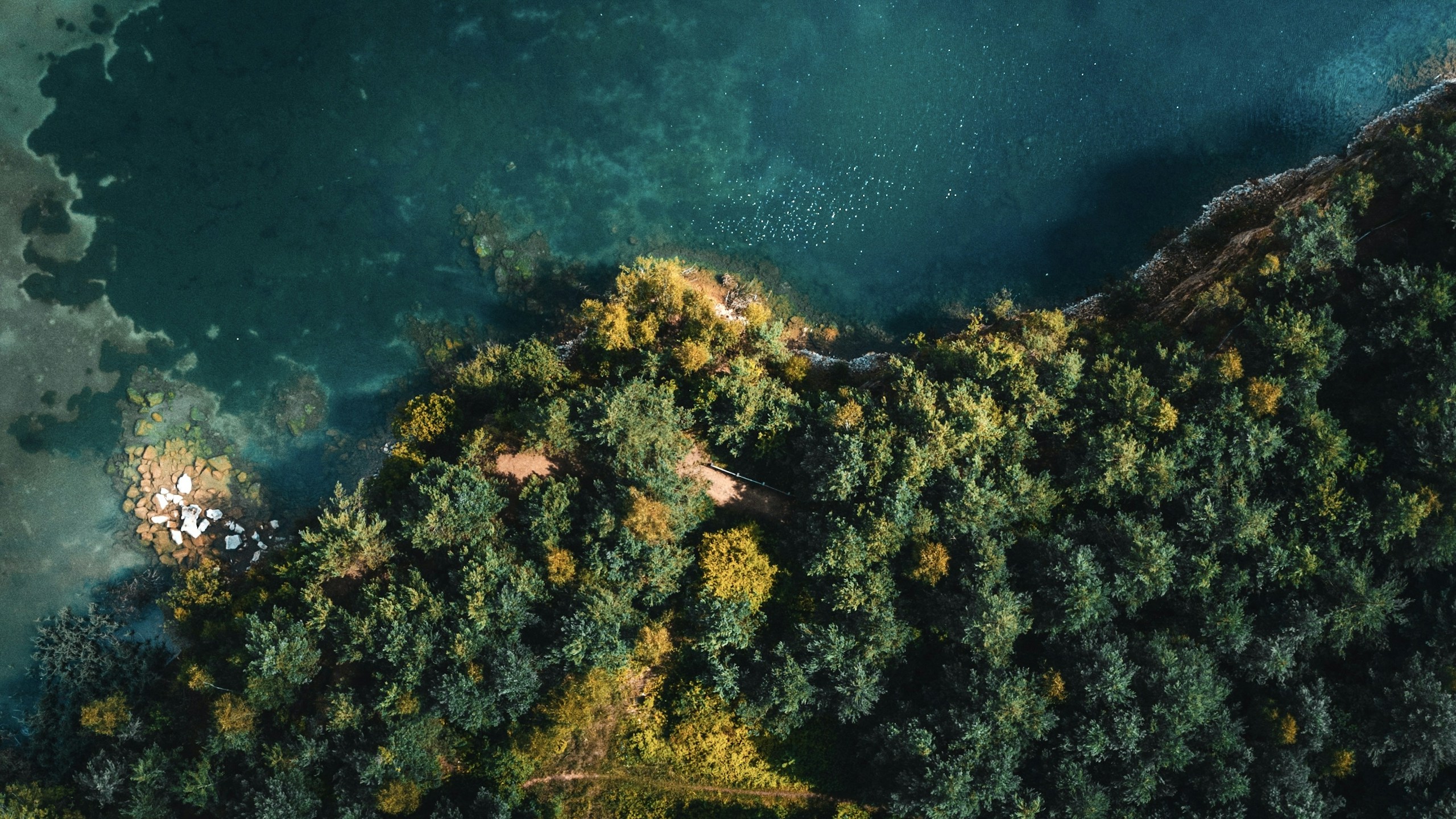 Blick aus der Luft auf eine bewaldete Uferlinie an einem türkisfarbenen See